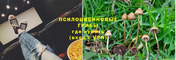 мескалин Майский